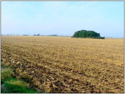 Uvedené remízky jsou pro&nbsp;naše správní území typické