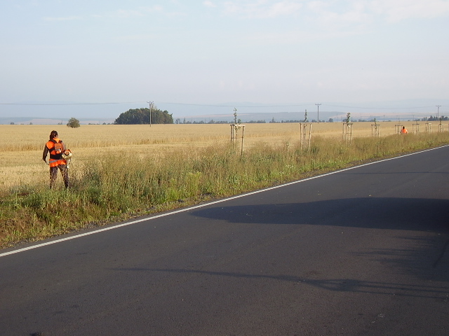 údržba vysázených hrušní